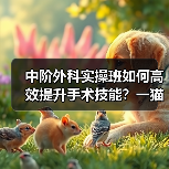 中阶外科实操班如何高效提升手术技能？一猫一狗实战演练(图4)