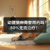 幼猫猫癣需要用药吗?80%无需治疗!(图2) 幼猫猫癣需要用药吗?80%无需治疗!(图2)