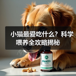 小猫最爱吃什么？科学喂养全攻略揭秘(图4)