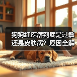 狗狗红疙瘩到底是过敏还是皮肤病？原因全解析(图4)