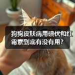 狗狗皮肤病用碘伏和红霉素到底有没有用？(图3)