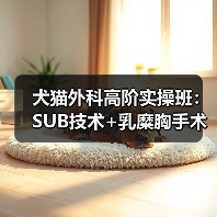 犬猫外科高阶实操班：SUB技术+乳糜胸手
