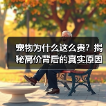 宠物为什么这么贵？揭秘高价背后的真实原因与情感价值(图2)