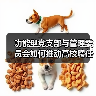 功能型党支部与管理委员会如何推动高校聘任制教职工高效治理？(图3)