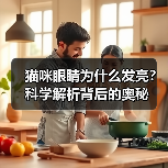 猫咪眼睛为什么发亮？科学解析背后的奥秘