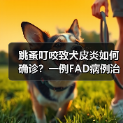 跳蚤叮咬致犬皮炎如何确诊？一例FAD病例