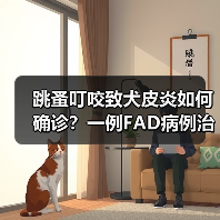 跳蚤叮咬致犬皮炎如何确诊?一例FAD病例治疗策略揭秘(图3) 跳蚤叮咬致犬皮炎如何确诊?一例FAD病例治疗策略揭秘(图3)