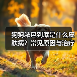 狗狗脓包到底是什么皮肤病？常见原因与治疗全解析(图3)
