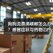 狗狗流鼻涕咳嗽怎么办？感冒症状与药物治疗