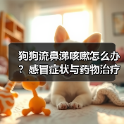 狗狗流鼻涕咳嗽怎么办？感冒症状与药物治疗指南(图2)
