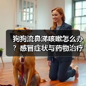 狗狗流鼻涕咳嗽怎么办？感冒症状与药物治疗指南(图4)