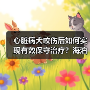 心脏病犬咬伤后如何实现有效保守治疗?海泊舒应用案例解析(图4) 心脏病犬咬伤后如何实现有效保守治疗?海泊舒应用案例解析(图4)