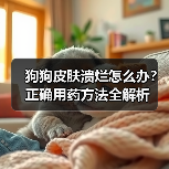 狗狗皮肤溃烂怎么办？正确用药方法全解析(图2)