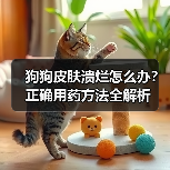 狗狗皮肤溃烂怎么办？正确用药方法全解析(图3)