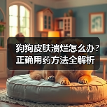 狗狗皮肤溃烂怎么办？正确用药方法全解析(图4)