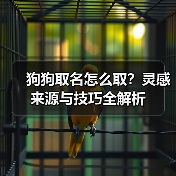 狗狗取名怎么取？灵感来源与技巧全解析