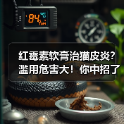 红霉素软膏治猫皮炎?滥用危害大!你中招了吗?(图2) 红霉素软膏治猫皮炎?滥用危害大!你中招了吗?(图2)