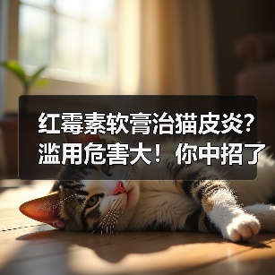 红霉素软膏治猫皮炎?滥用危害大!你中招了吗?(图3) 红霉素软膏治猫皮炎?滥用危害大!你中招了吗?(图3)