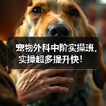宠物外科中阶实操班,实操超多提升快!(图3) 宠物外科中阶实操班,实操超多提升快!(图3)