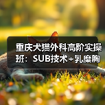 重庆犬猫外科高阶实操班：SUB技术+乳糜