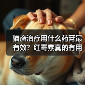 猫癣治疗用什么药膏最有效？红霉素真的有用吗？(图2)
