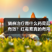 猫癣治疗用什么药膏最有效？红霉素真的有用
