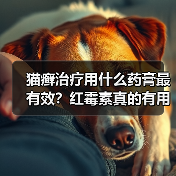 猫癣治疗用什么药膏最有效？红霉素真的有用吗？(图3)