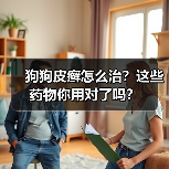 狗狗皮癣怎么治？这些药物你用对了吗？