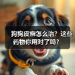 狗狗皮癣怎么治?这些药物你用对了吗?(图4) 狗狗皮癣怎么治?这些药物你用对了吗?(图4)