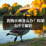 狗狗长癣怎么办?科学治疗全解析(图2) 狗狗长癣怎么办?科学治疗全解析(图2)