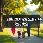 狗狗皮肤病怎么治?特效药大全(图2) 狗狗皮肤病怎么治?特效药大全(图2)