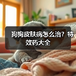 狗狗皮肤病怎么治?特效药大全(图3) 狗狗皮肤病怎么治?特效药大全(图3)