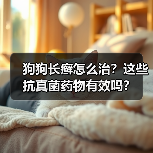 狗狗长癣怎么治？这些抗真菌药物有效吗？