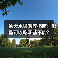 幼犬水果喂养指南：哪些可以吃哪些不能？