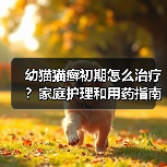 幼猫猫癣初期怎么治疗?家庭护理和用药指南(图3) 幼猫猫癣初期怎么治疗?家庭护理和用药指南(图3)