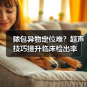 脓包异物定位难?超声技巧提升临床检出率(图4) 脓包异物定位难?超声技巧提升临床检出率(图4)