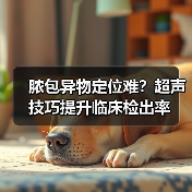 脓包异物定位难?超声技巧提升临床检出率(图3) 脓包异物定位难?超声技巧提升临床检出率(图3)