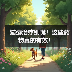 猫癣治疗别慌!这些药物真的有效!(图2) 猫癣治疗别慌!这些药物真的有效!(图2)
