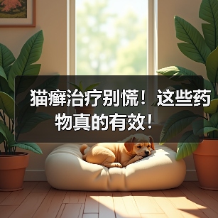 猫癣治疗别慌!这些药物真的有效!(图3) 猫癣治疗别慌!这些药物真的有效!(图3)