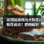 如何彻底根治犬跳蚤过敏性皮炎?病例解析(图4) 如何彻底根治犬跳蚤过敏性皮炎?病例解析(图4)