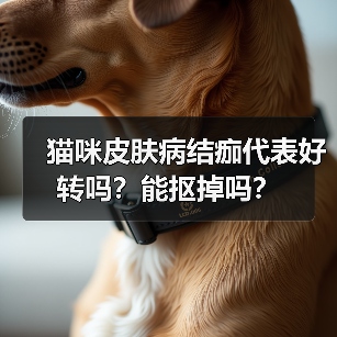 猫咪皮肤病结痂代表好转吗?能抠掉吗?(图3) 猫咪皮肤病结痂代表好转吗?能抠掉吗?(图3)