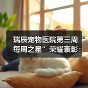 瑞辰宠物医院第三周“每周之星”荣耀表彰：