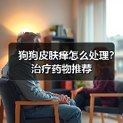 狗狗皮肤痒怎么处理？治疗药物推荐 - 辰飞雨新生家伴