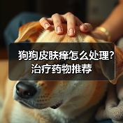 狗狗皮肤痒怎么处理?治疗药物推荐(图2) 狗狗皮肤痒怎么处理?治疗药物推荐(图2)
