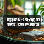 狗狗皮肤长癣如何正确用药?家庭护理指南(图4) 狗狗皮肤长癣如何正确用药?家庭护理指南(图4)