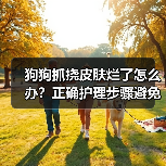 狗狗抓挠皮肤烂了怎么办?正确护理步骤避免感染(图2) 狗狗抓挠皮肤烂了怎么办?正确护理步骤避免感染(图2)
