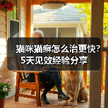 猫咪猫癣怎么治更快?5天见效经验分享(图2) 猫咪猫癣怎么治更快?5天见效经验分享(图2)
