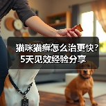 猫咪猫癣怎么治更快?5天见效经验分享(图3) 猫咪猫癣怎么治更快?5天见效经验分享(图3)