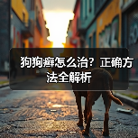 狗狗癣怎么治?正确方法全解析(图4) 狗狗癣怎么治?正确方法全解析(图4)