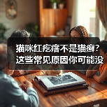 猫咪红疙瘩不是猫癣？这些常见原因你可能没注意到 - 辰飞雨新生家伴